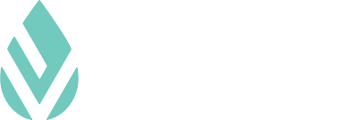 ivnv in cda company logo